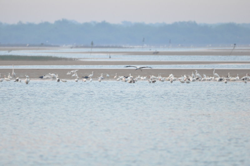 DSC_0011b.JPG