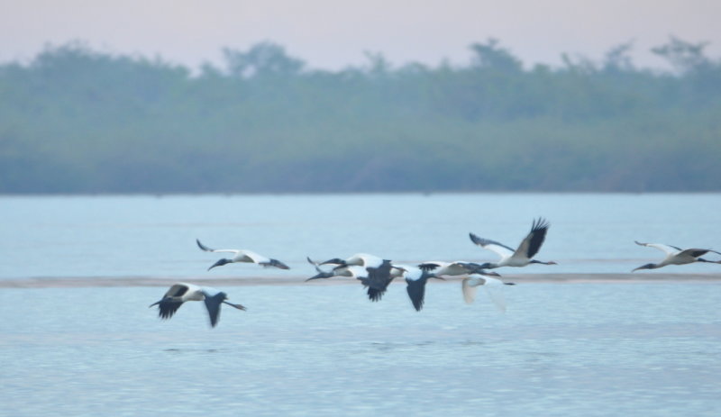DSC_0022b.JPG