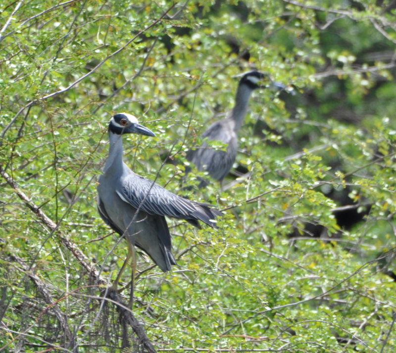 DSC_0821b.JPG