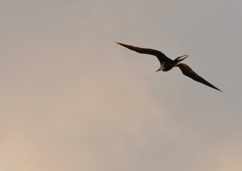 DSC_0316b.JPG