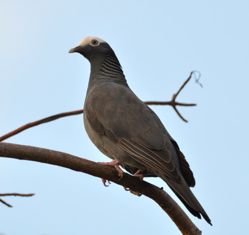 DSC_0317b.JPG