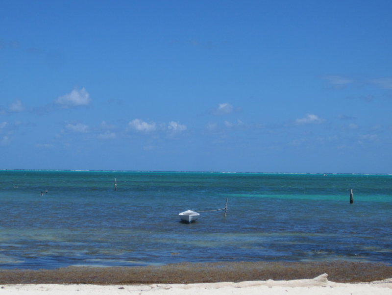 IMG_6755b.JPG
