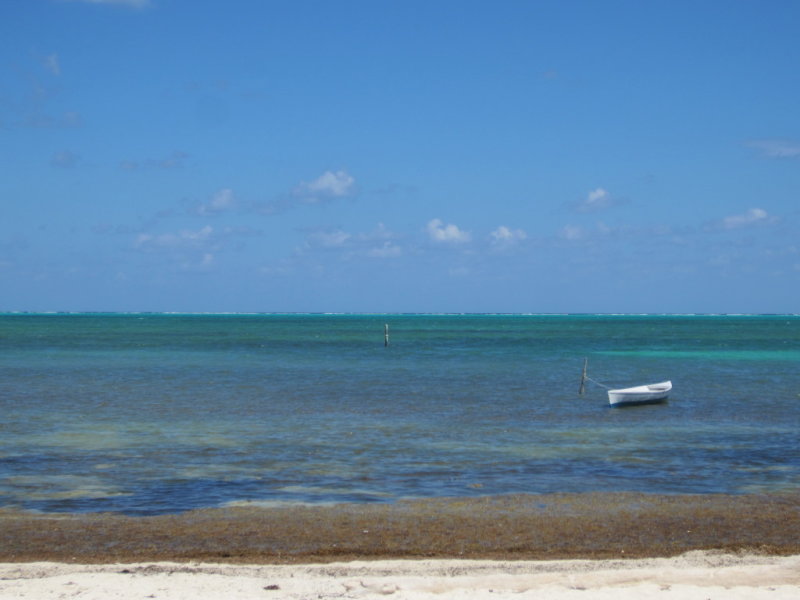 IMG_6756b.JPG