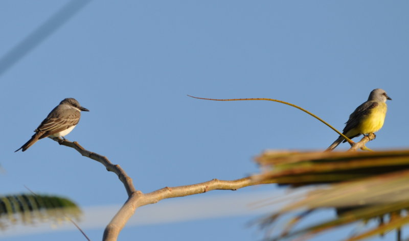 DSC_0180b.JPG