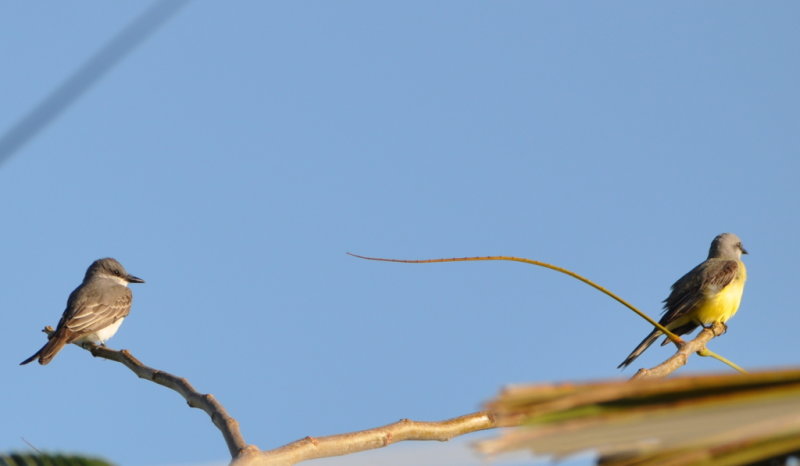 DSC_0192b.JPG