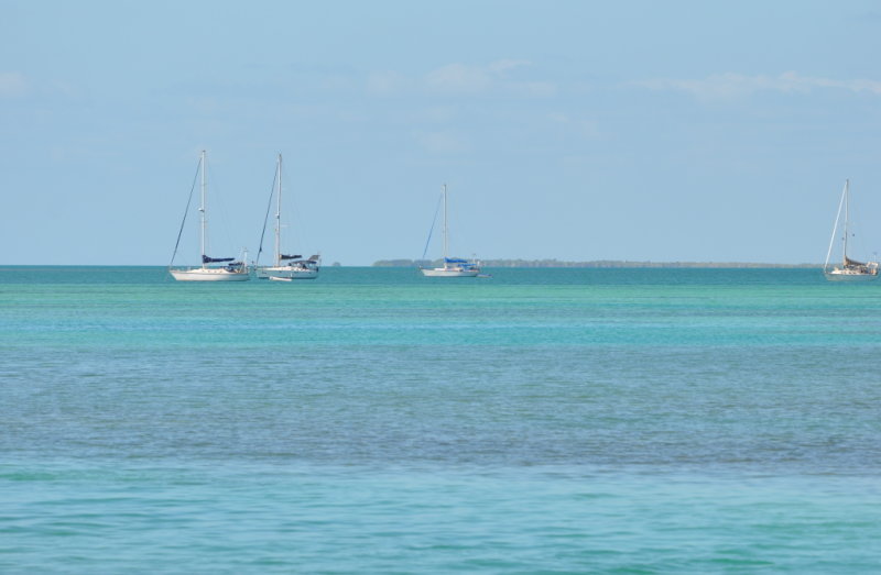 DSC_0328b.JPG