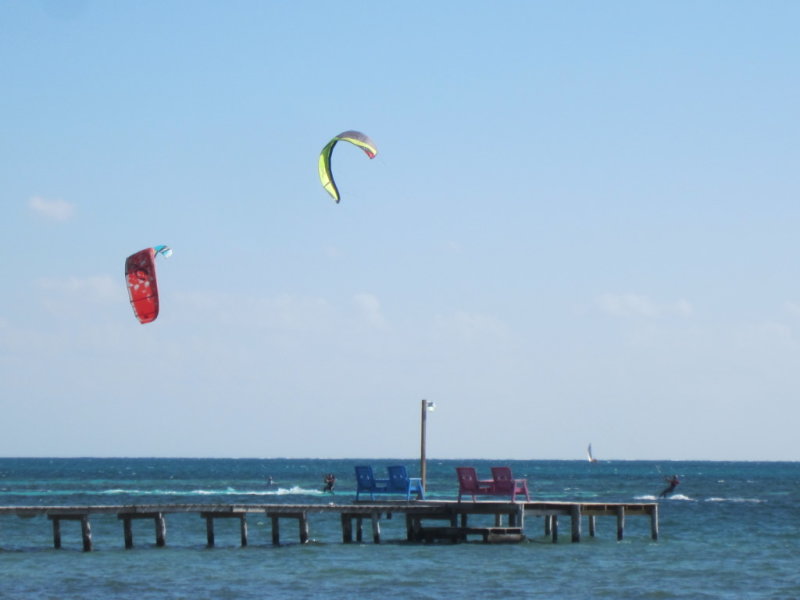 IMG_6782b.JPG