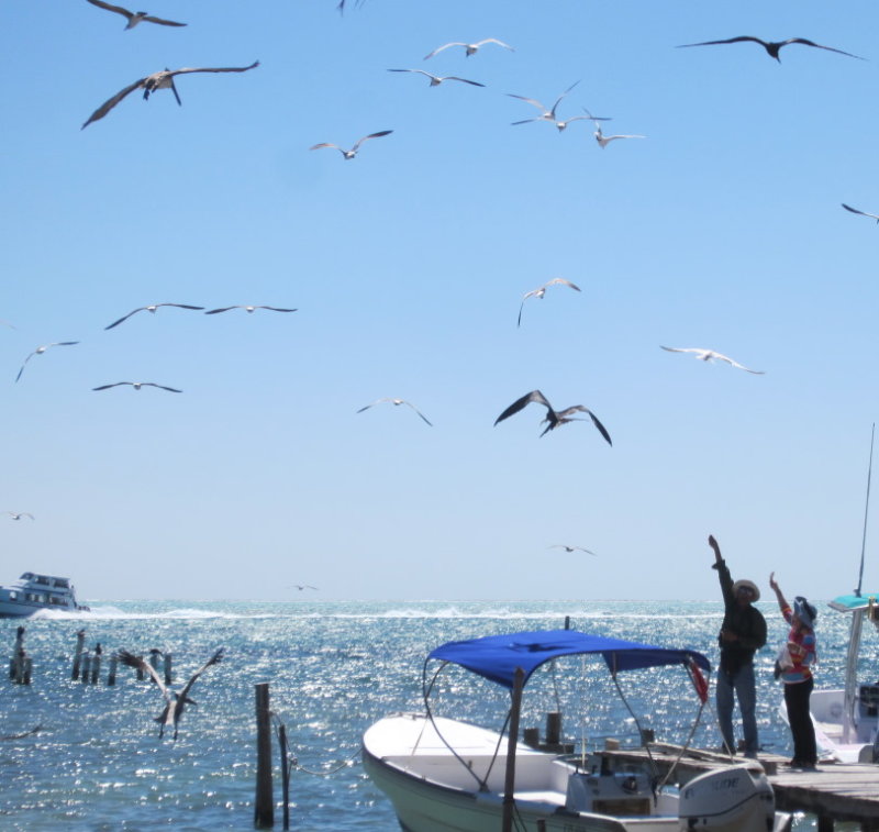 IMG_6815b.JPG