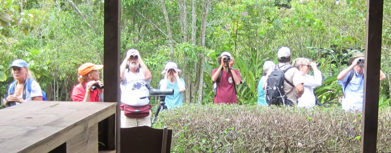 IMG_7481b.JPG