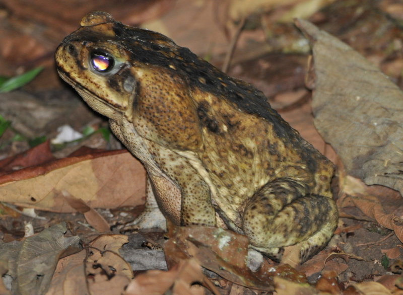 DSC_0670b.JPG