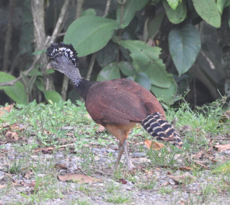 DSC_0331b.JPG