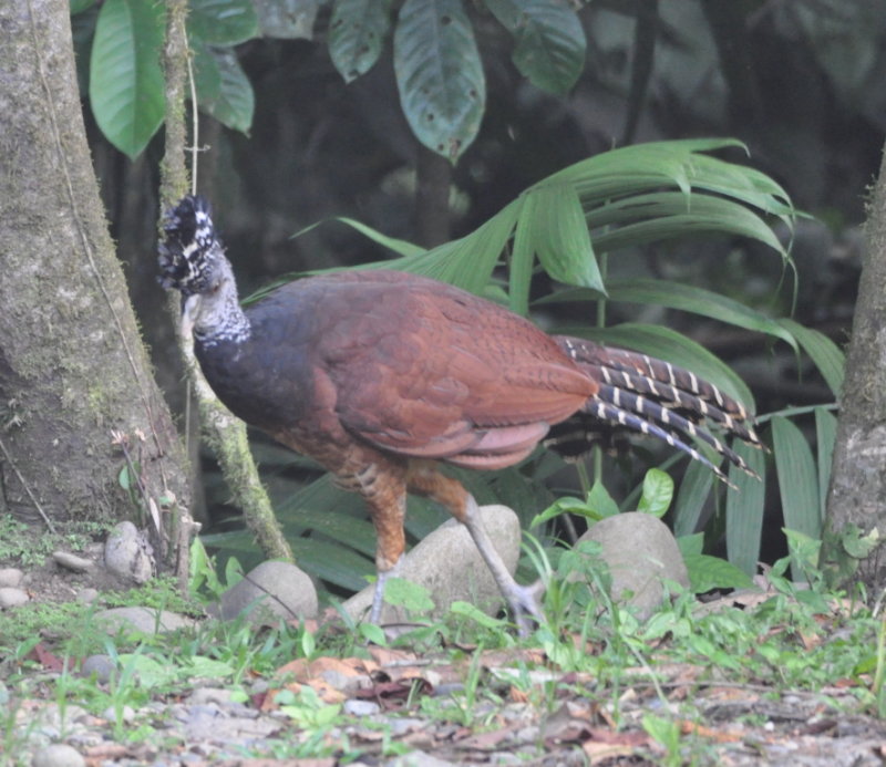 DSC_0353b.JPG