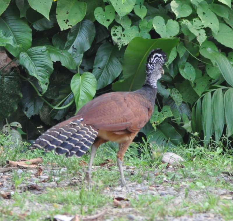 DSC_0363b.JPG