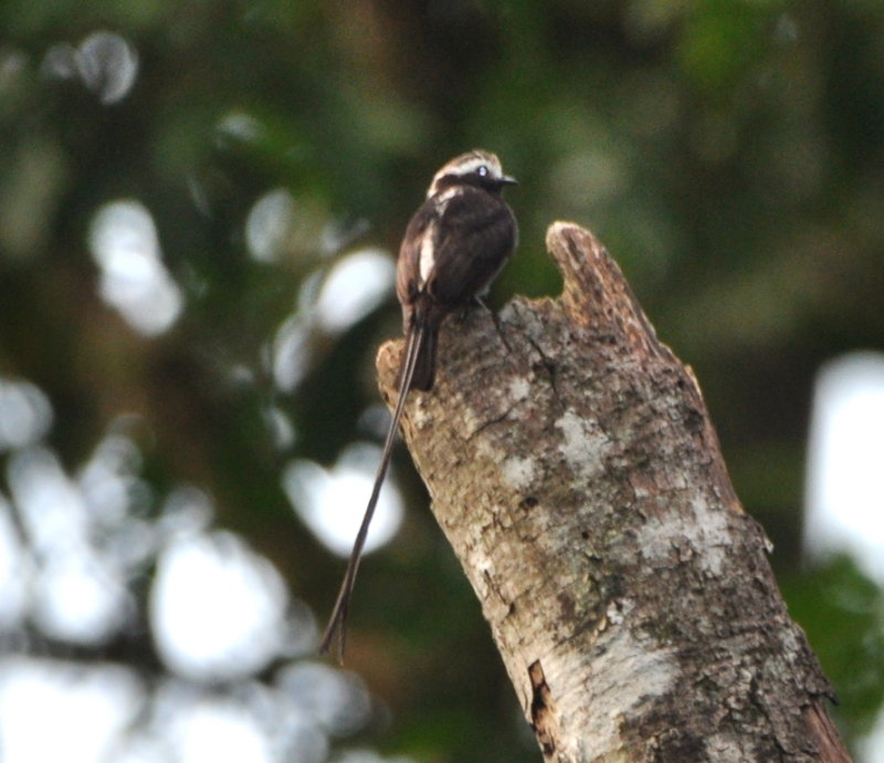 DSC_0567b.JPG