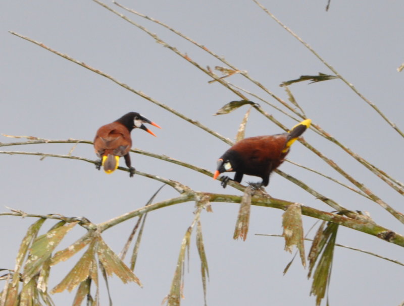 DSC_0009b.JPG