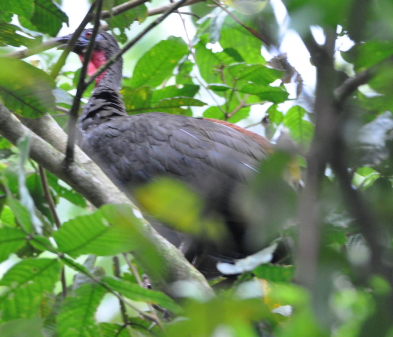 DSC_0104b.JPG