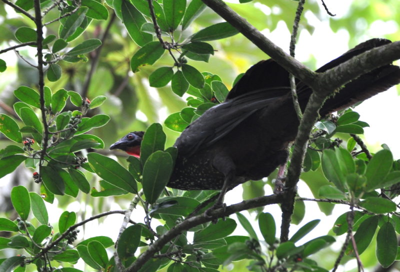 DSC_0114b.JPG