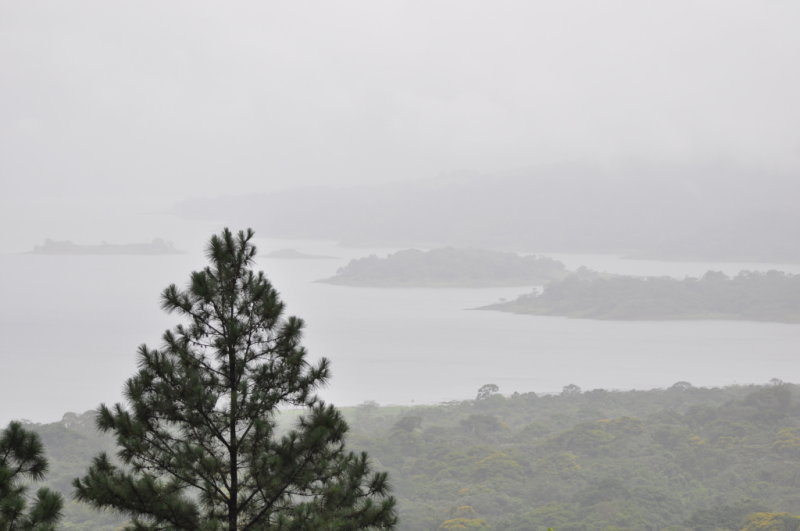 DSC_0554b.JPG