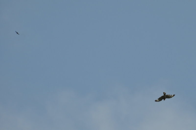 DSC_0145b.JPG