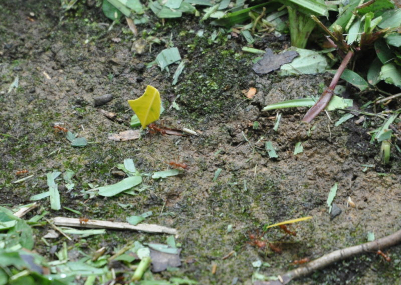 DSC_0457b.JPG