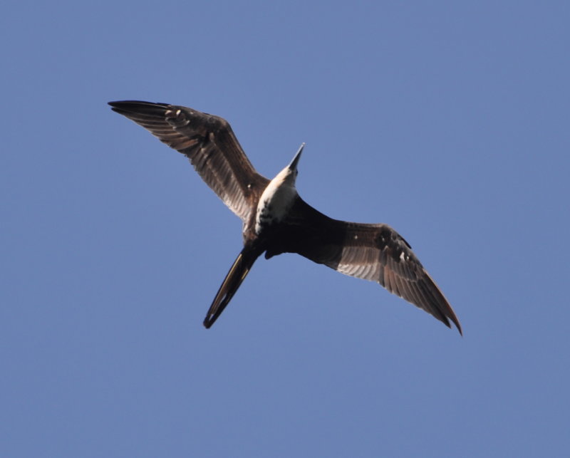 DSC_0873b.JPG