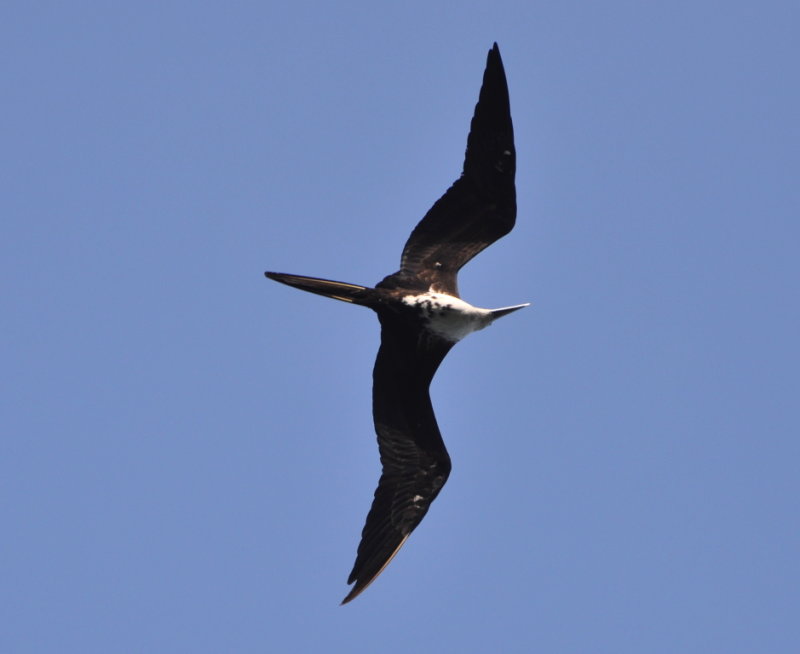 DSC_0877b.JPG