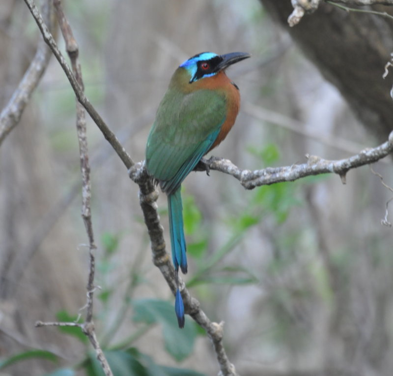 DSC_0944b.JPG