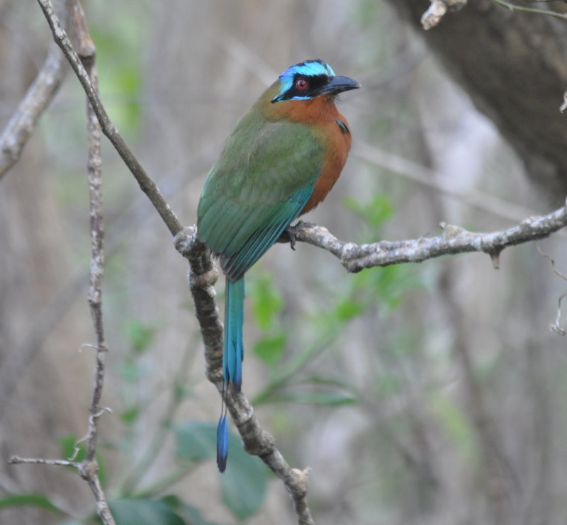 DSC_0960b.JPG
