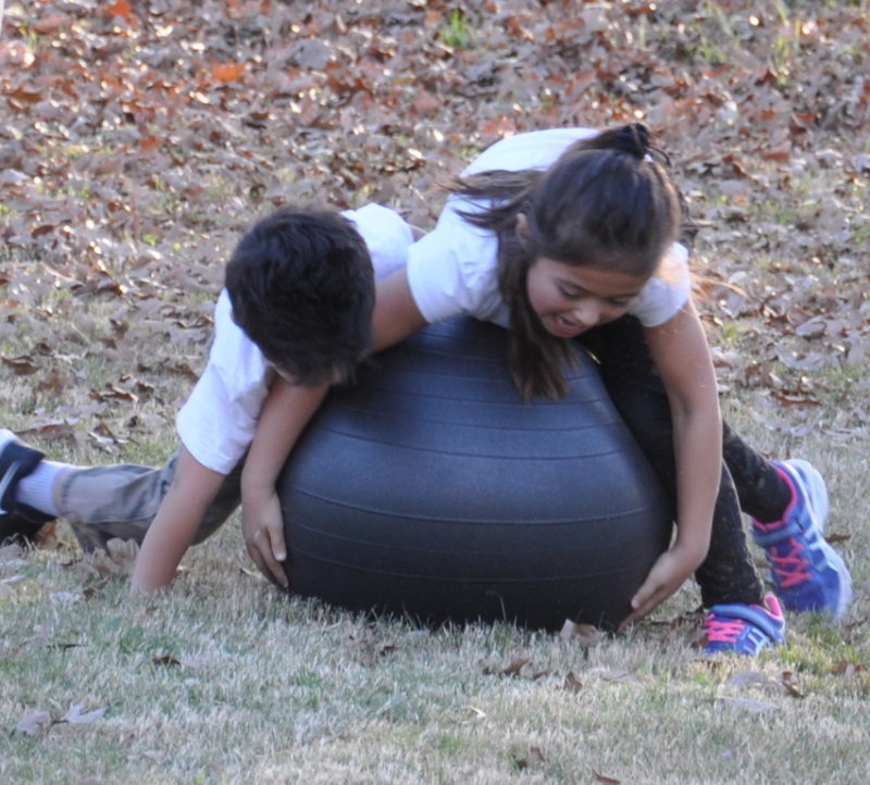 DSC_2049b.JPG