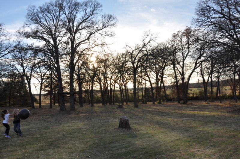 DSC_2079b.JPG