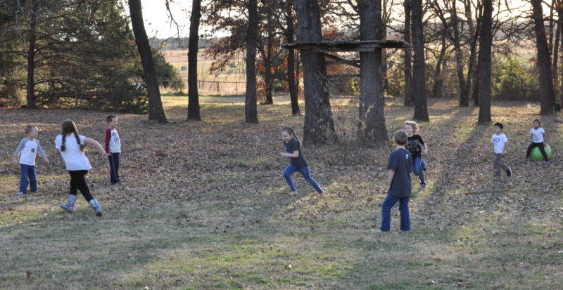 DSC_2097b.JPG