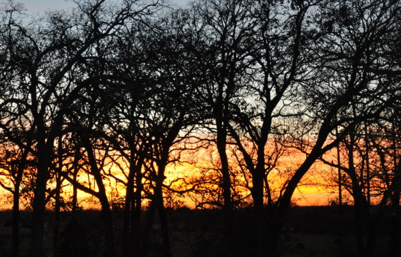 DSC_2144b.JPG