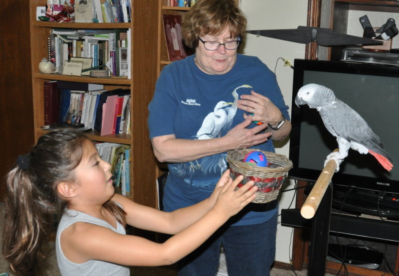 DSC_2155b.JPG