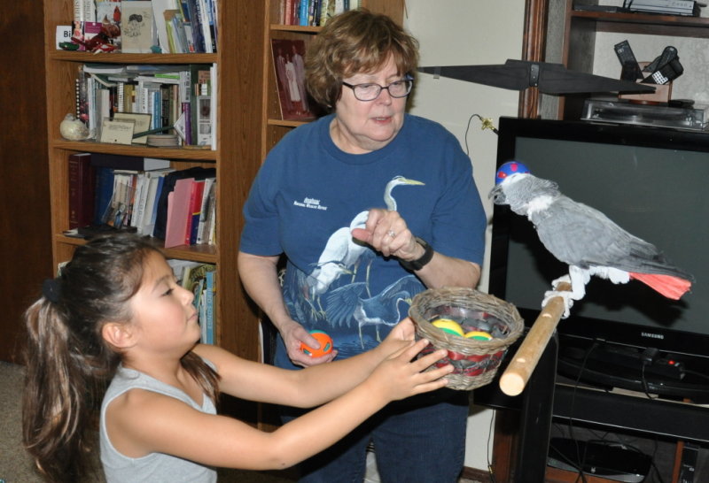 DSC_2156b.JPG