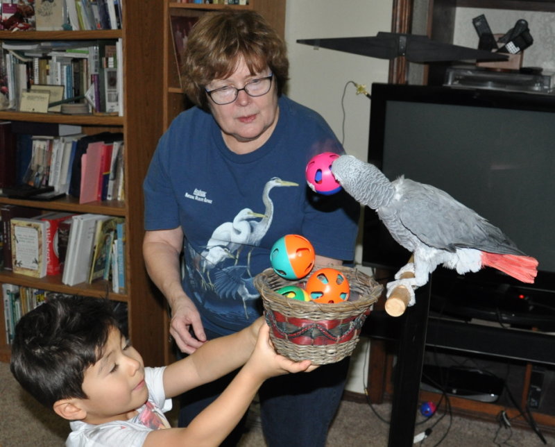 DSC_2157b.JPG