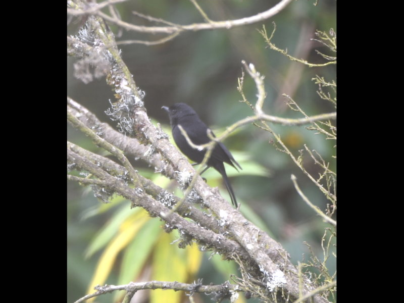 DSC_1835b.JPG