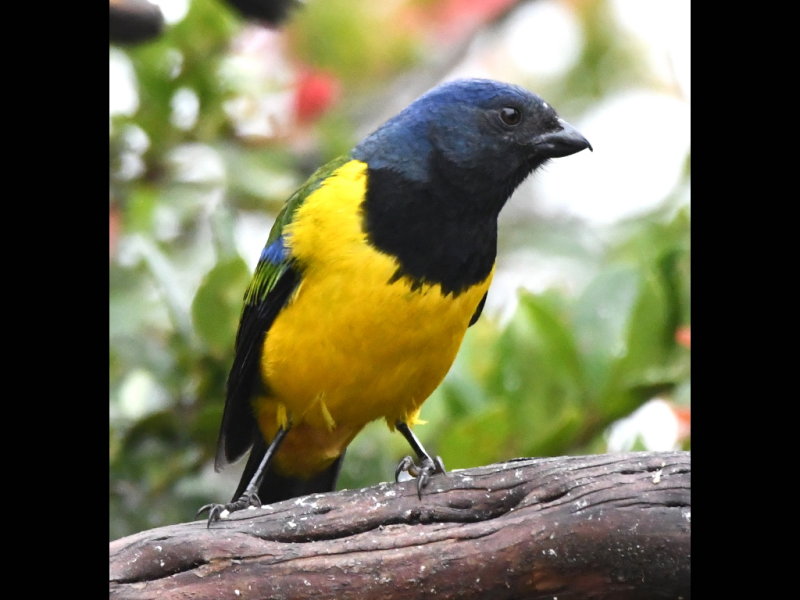DSC_1928b.JPG