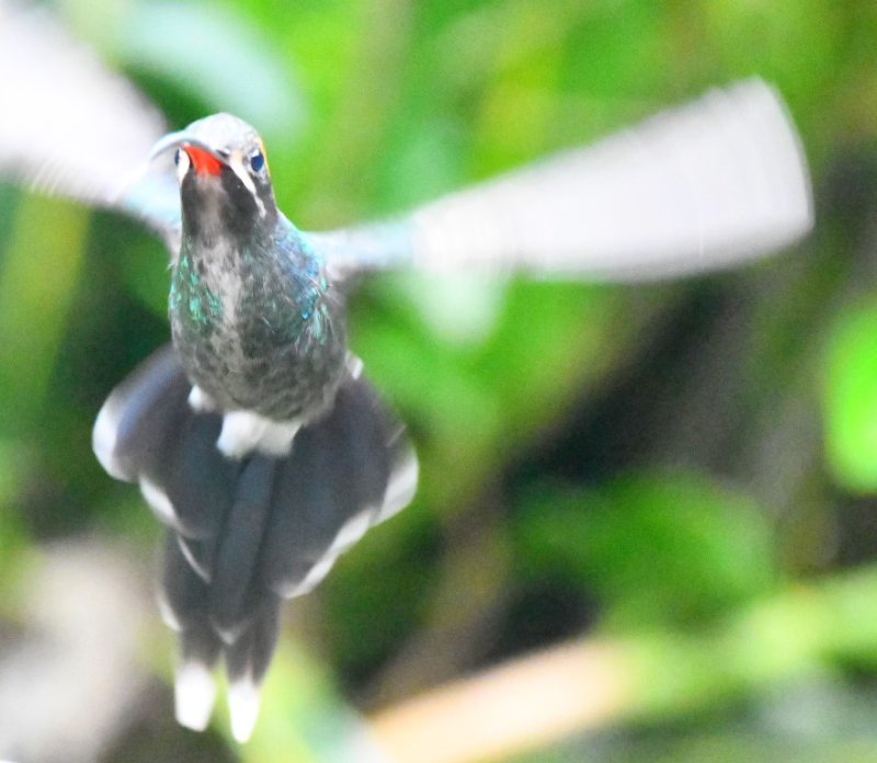 DSC_3850b.jpg