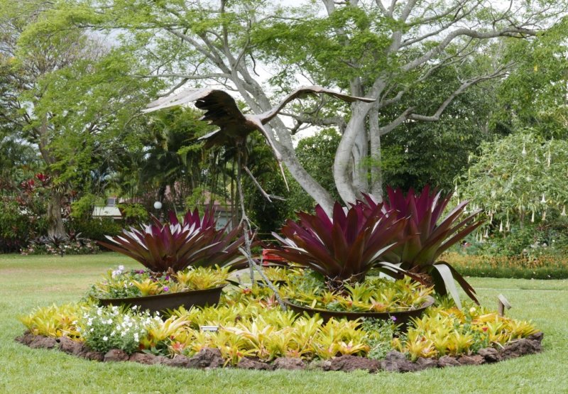 P1000134b.jpg