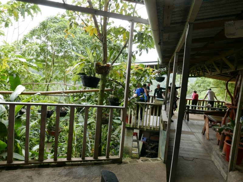 P1000202b.jpg
