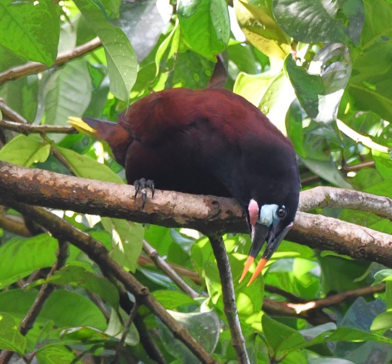 DSC_9875b.jpg