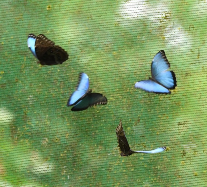 DSC_0541b.jpg
