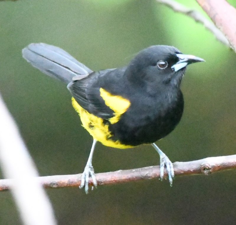 DSC_0860b.jpg