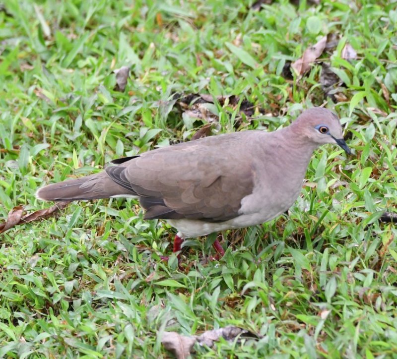 DSC_1220b.jpg