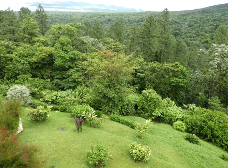 P1000495b.jpg
