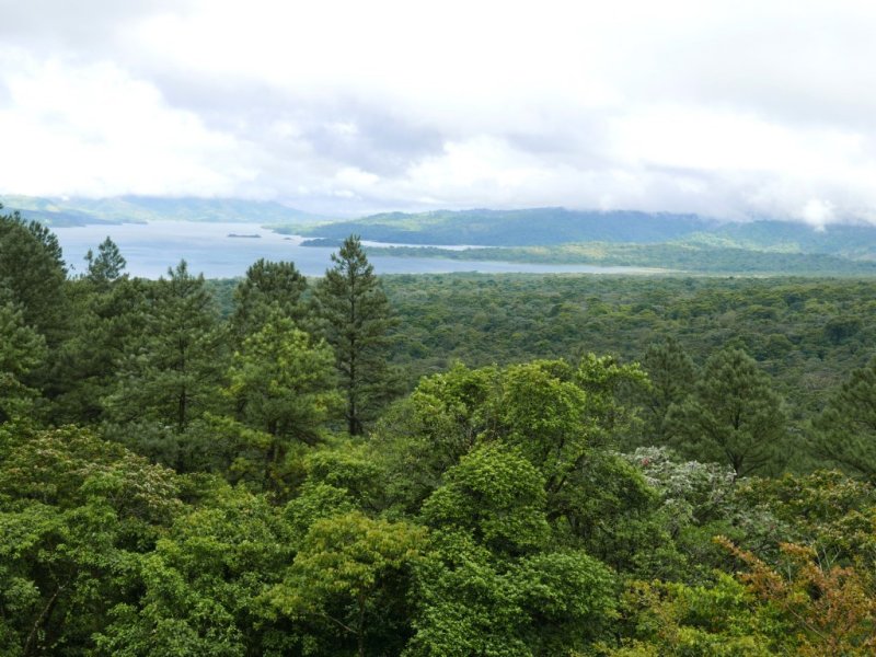 P1000496b.jpg