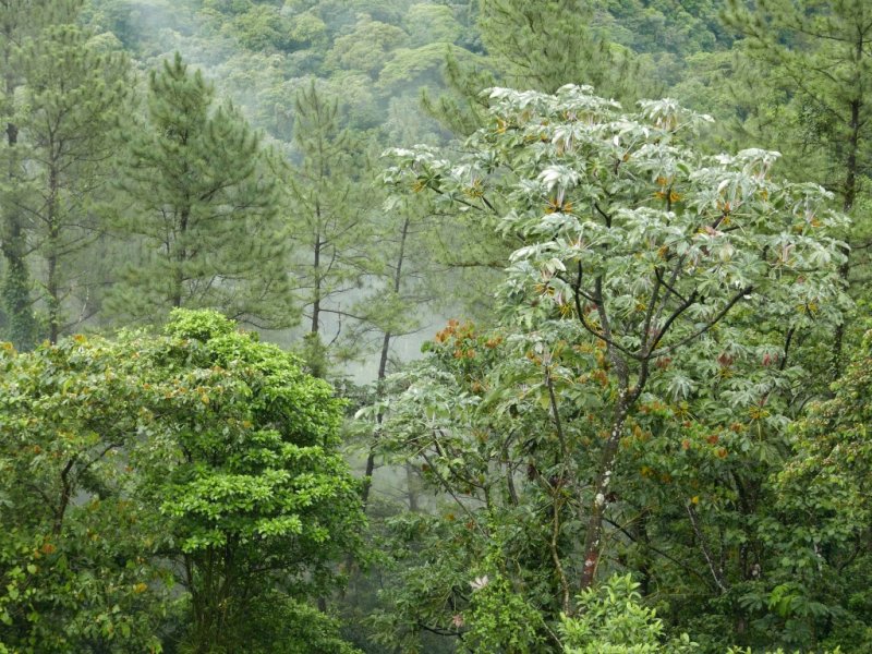 P1000503b.jpg