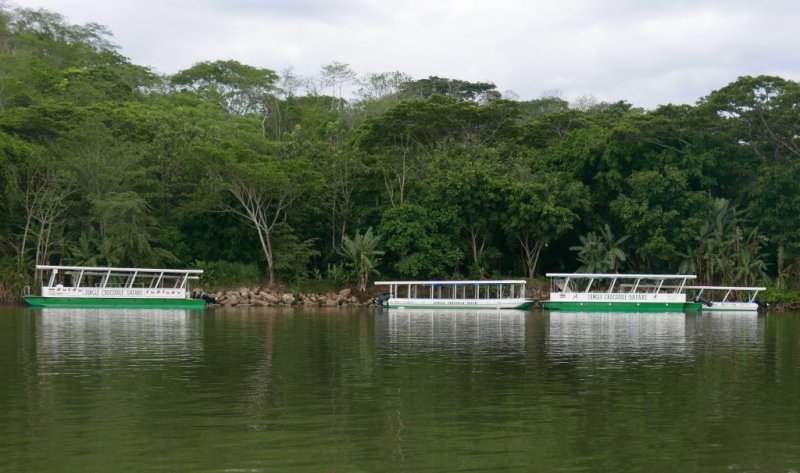 P1000524b.jpg