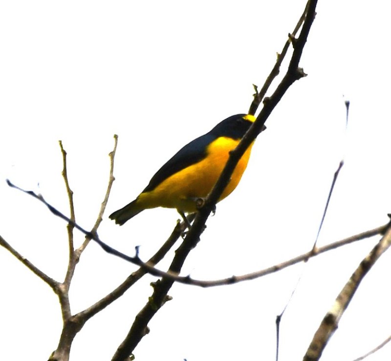 DSC_1552b.jpg