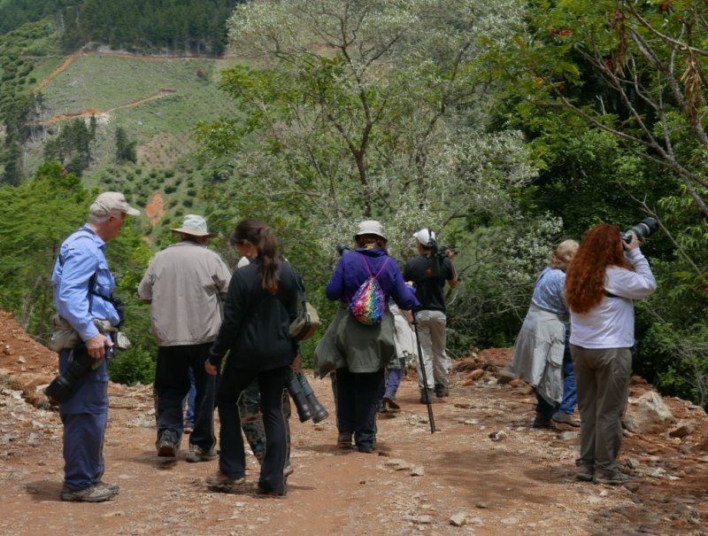 P1000973b.jpg